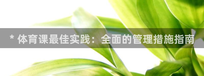 必一体育网页版登录