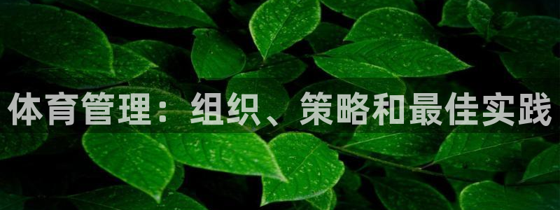 必一运动B-Sport官方网站入口