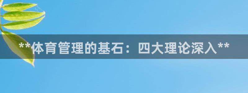 必一体育网页登录版官