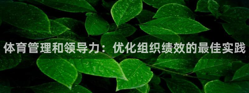 必一体育最新官网入口首页