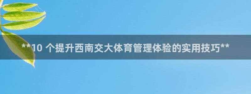 b体育必一运动网页版在线登录入口